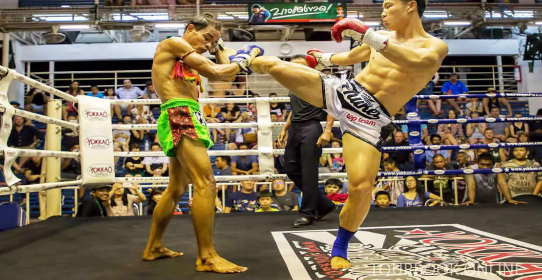 Video Thai Boxing Muay Thai
