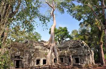 Angkor Wat photo №19