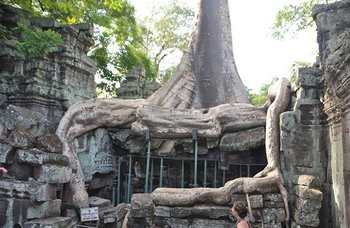 Angkor Wat photo №21