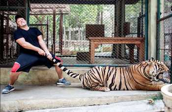 Tiger Kingdom on Phuket photo №1