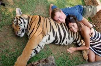 Tiger Kingdom on Phuket photo №16