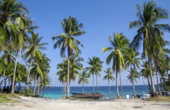 Excursion from Phuket to Racha Yai Island фото №1