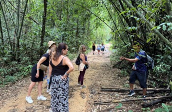 Excursion to Khao Sok and Cheo Lan Lake фото №2