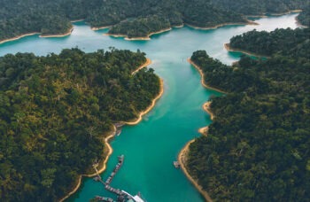 Excursion to Khao Sok and Cheo Lan Lake фото №1