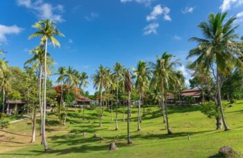 Excursion from Phuket to Racha Yai Island фото №14