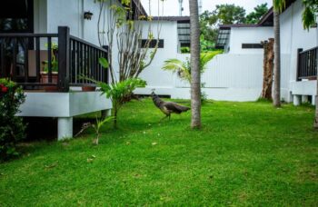 Excursion from Phuket to Racha Yai Island фото №16