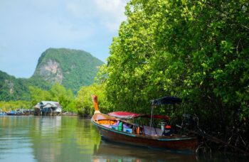 Excursion to Phang Nga Province фото №20
