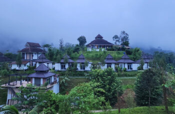 Excursion to Khao Sok and Cheo Lan Lake фото №3