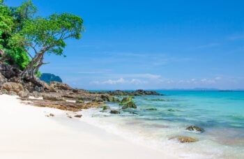 Excursion to the Phi Phi Islands from Phuket фото №3