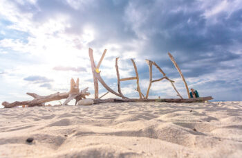 Excursion to the Phi Phi Islands from Phuket фото №3