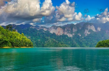 Excursion to Khao Sok and Cheo Lan Lake фото №4