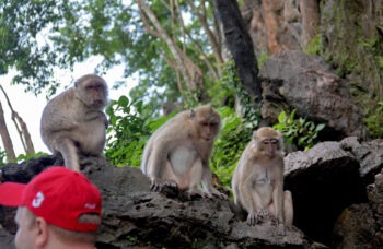 Excursion to Khao Lak National Park фото №4