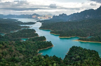 Excursion to Khao Sok and Cheo Lan Lake фото №6