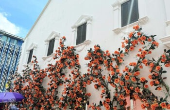 Phuket City Tour фото №6