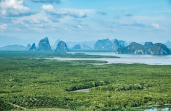Excursion to Phang Nga Province фото №6