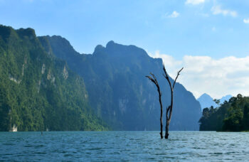 Excursion to Khao Sok and Cheo Lan Lake фото №7