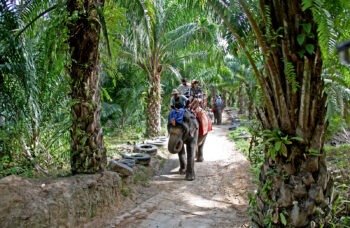 Excursion to Krabi 1 day from Phuket фото №8