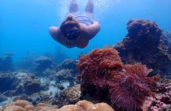 Excursion to the Phi Phi Islands from Phuket фото №9