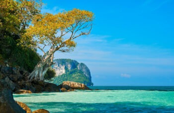 Excursion to the Phi Phi Islands from Phuket фото №11