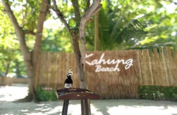 Coral Island tour from Phuket фото №11