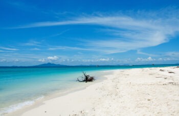 Excursion to the Phi Phi Islands from Phuket фото №12