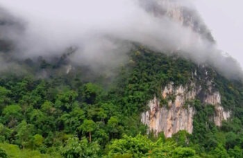 Excursion to Khao Sok and Cheo Lan Lake фото №11