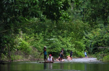 Excursion to Khao Sok and Cheo Lan Lake фото №14