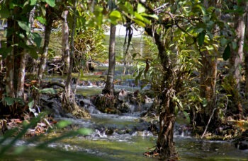 Excursion to Krabi 1 day from Phuket фото №16