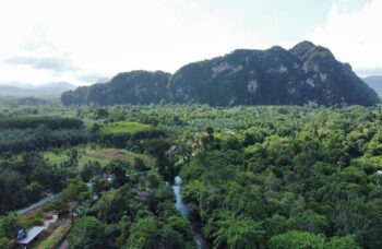 Excursion to Khao Sok and Cheo Lan Lake фото №13