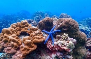 SURIN ISLAND TOUR фото №18