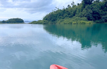 Excursion to Khao Sok and Cheo Lan Lake фото №18