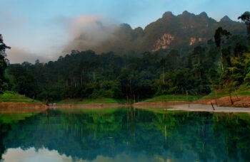 Excursion to Khao Sok and Cheo Lan Lake фото №21