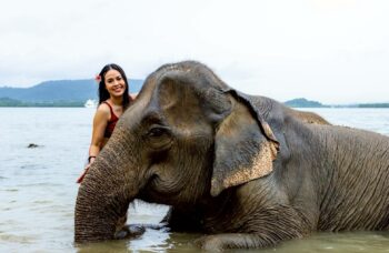Elephant Farm in Phuket, Elephant Safari фото №12