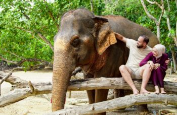 Elephant Farm in Phuket, Elephant Safari фото №14