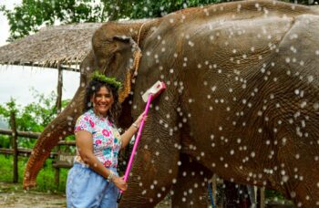 Elephant Farm in Phuket, Elephant Safari фото №4