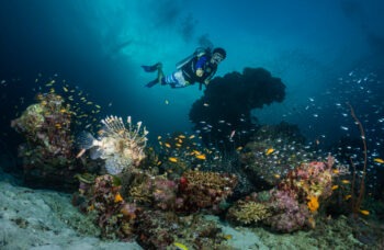 Phuket to Similan Islands Tour фото №12