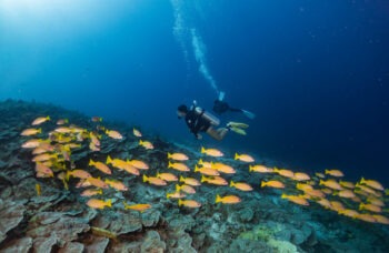 Phuket to Similan Islands Tour фото №14