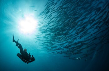 Phuket to Similan Islands Tour фото №16