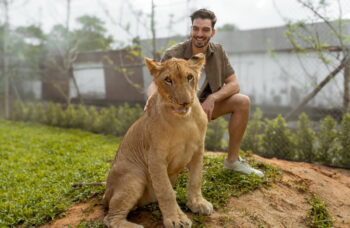 Lion Land фото №7