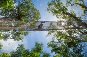 Jungle Xtrem Adventures Tour in Phuket фото №3
