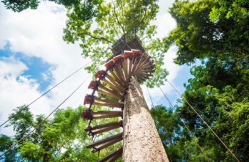 Skyline Adventure – tour to the Phuket park фото №3