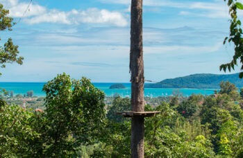 Jungle Xtrem Adventures Tour in Phuket фото №4