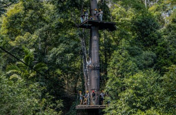 Flying Hanuman Tour in Phuket фото №11