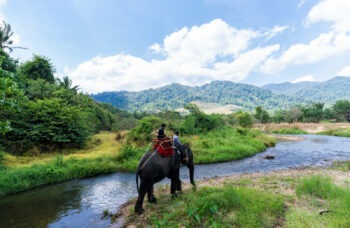 The Avatar’s Path tour from Phuket фото №9