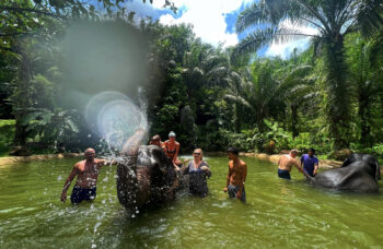 The Avatar’s Path tour from Phuket фото №12